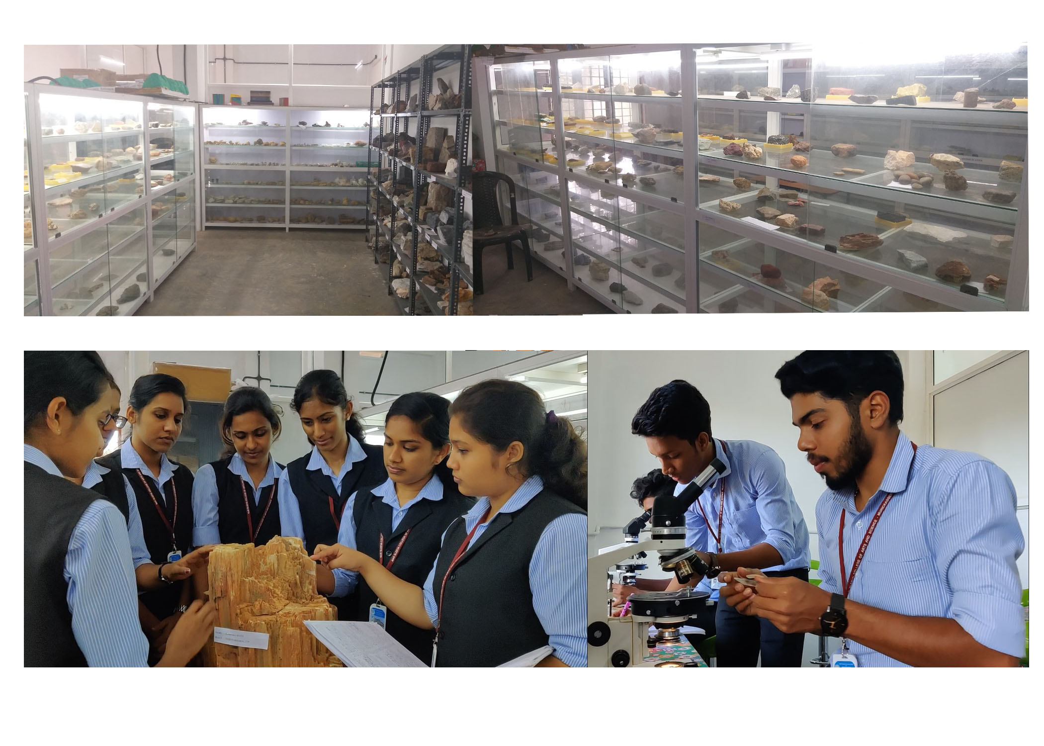 Geology Museum & Lab